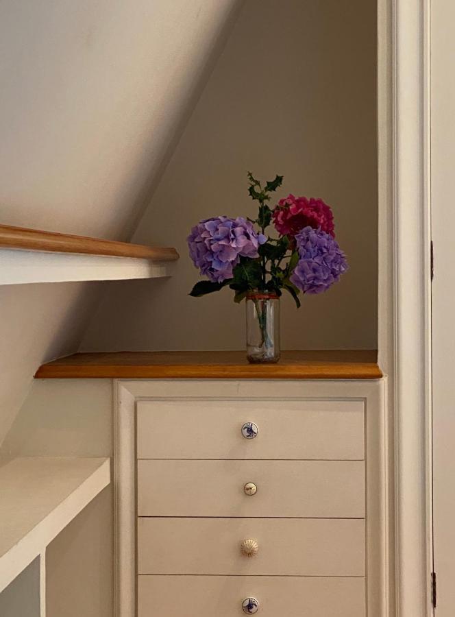 Apartament Olatu Haundia Donostian San Sebastián Zewnętrze zdjęcie